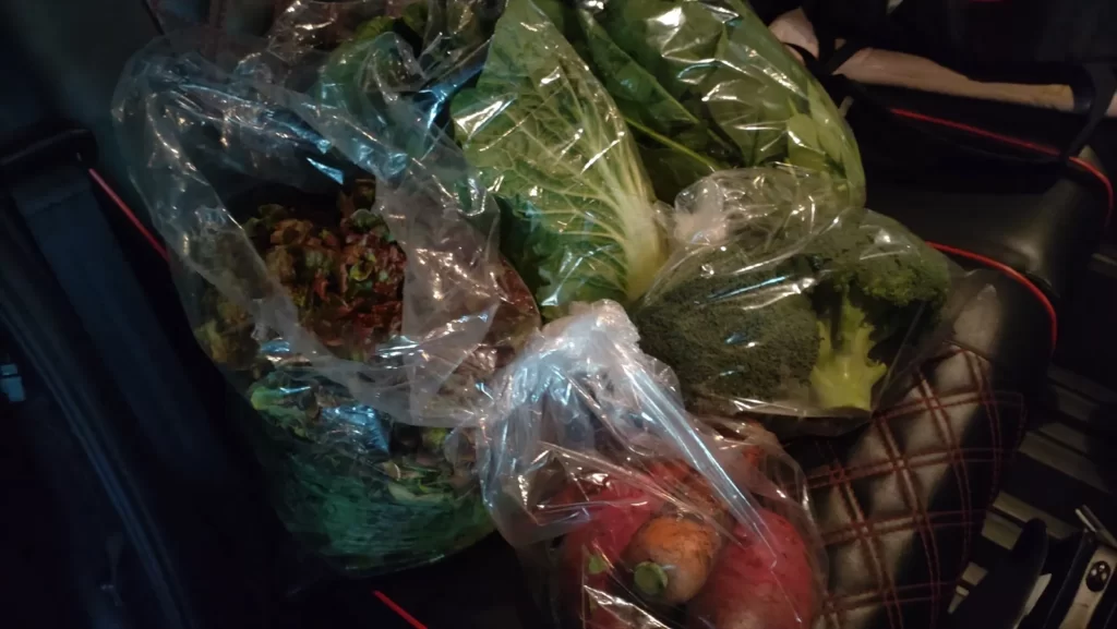 車に積まれた野菜