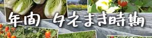 年間の種まき時期はこちら